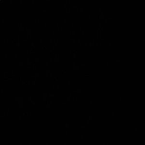 Meet your Posher, Mia